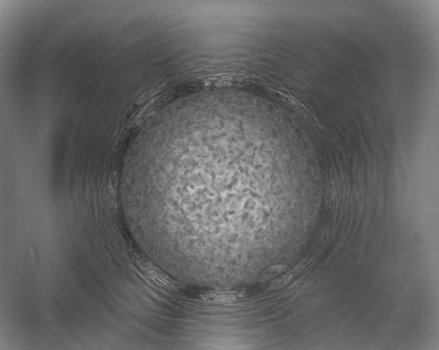X0000056310661200509231922