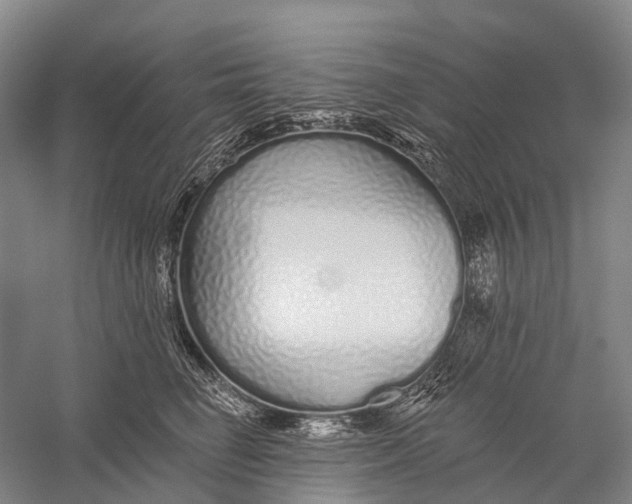 X0000056310662200509231922
