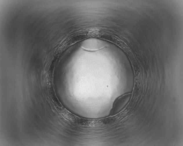X0000056310663200509231922