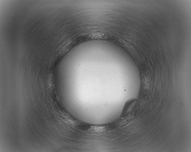 X0000056310665200509231922