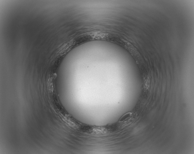 X0000056310666200509231922