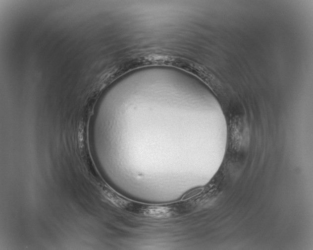 X0000056310668200509231922