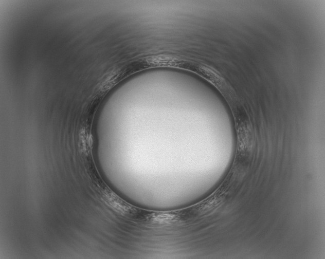 X0000056310669200509231922