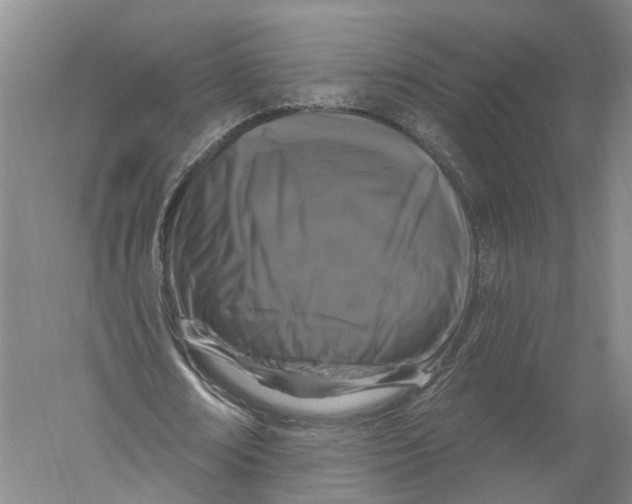 X0000056310674200509231921
