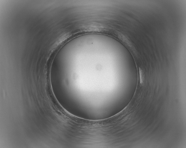 X0000056310675200509231921