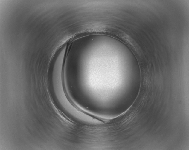 X0000056310677200509231921