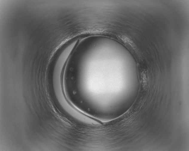 X0000056310684200509231921