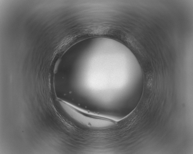 X0000056310685200509231921