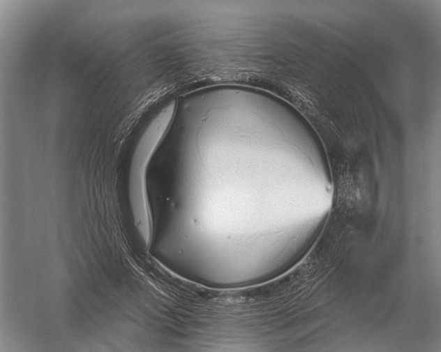 X0000056310687200509231921