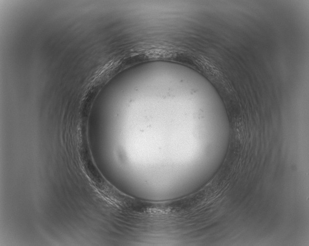 X0000056310690200509231921