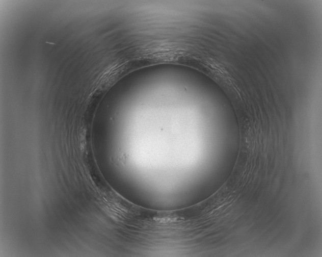 X0000056310693200509231921