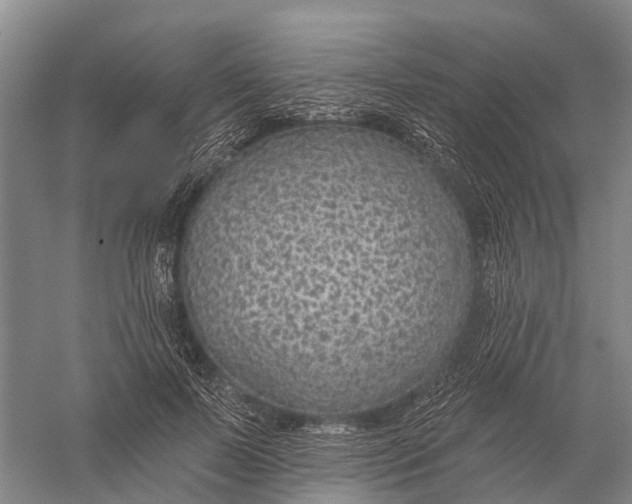 X0000056310695200509231921