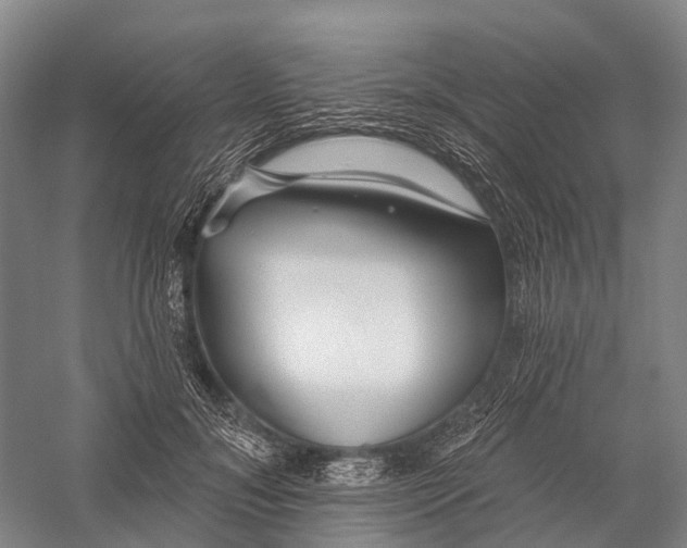 X0000056310700200509231921