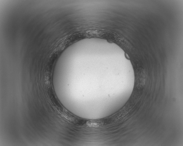 X0000056310706200509231920