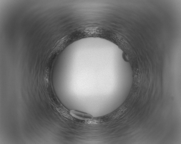 X0000056310710200509231920