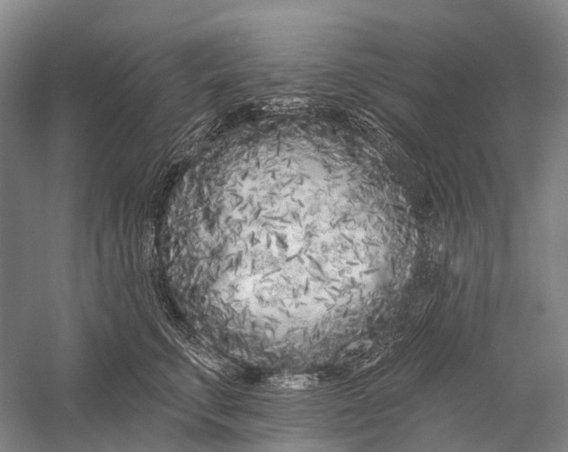 X0000056310711200509231920