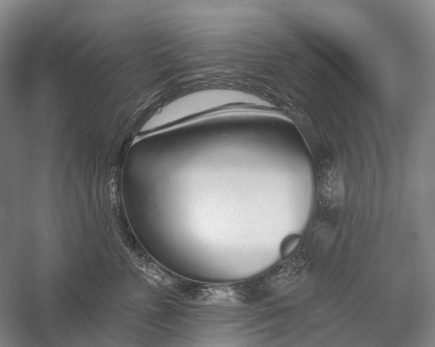 X0000056310715200509231920