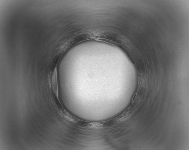 X0000056310719200509231920