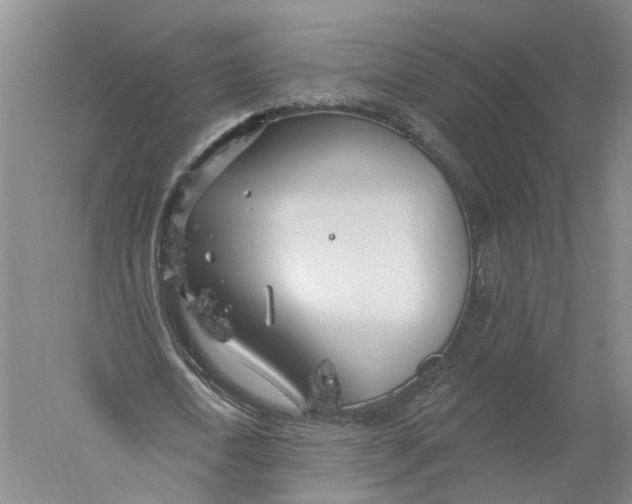 X0000056310722200509231919