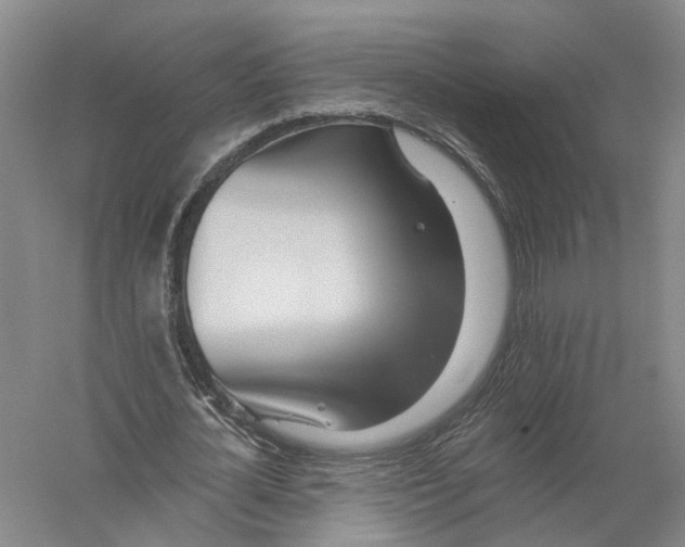 X0000056310724200509231919
