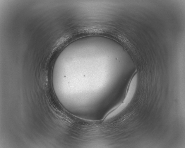 X0000056310731200509231920