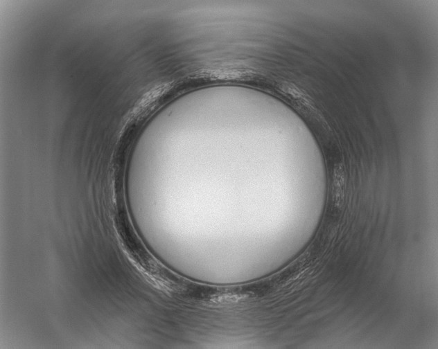 X0000056310734200509231920
