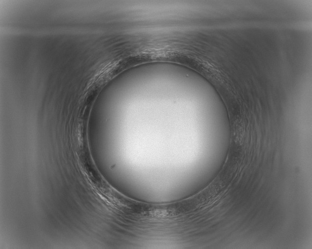 X0000056310740200509231920