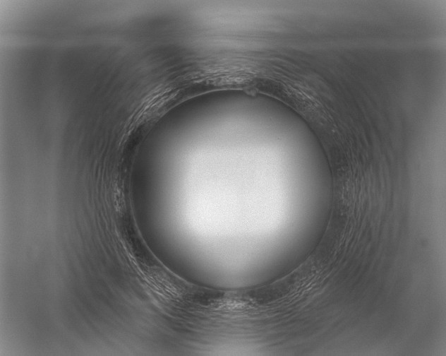 X0000056310743200509231920