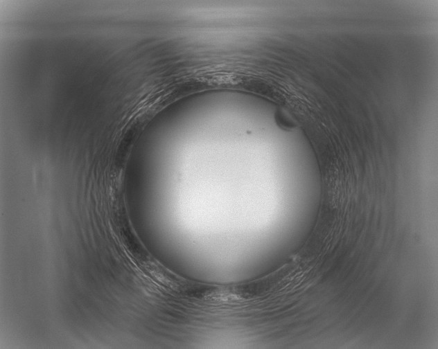 X0000056310747200509231920