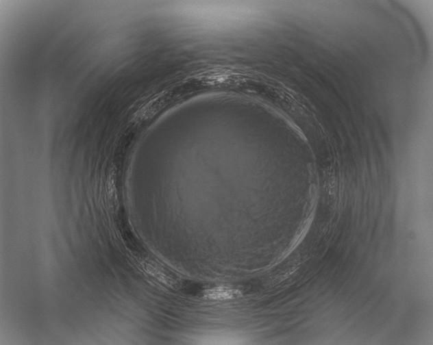 X0000056310754200509231920