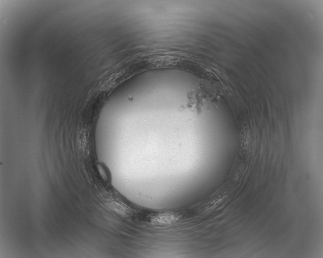 X0000056310759200509231920