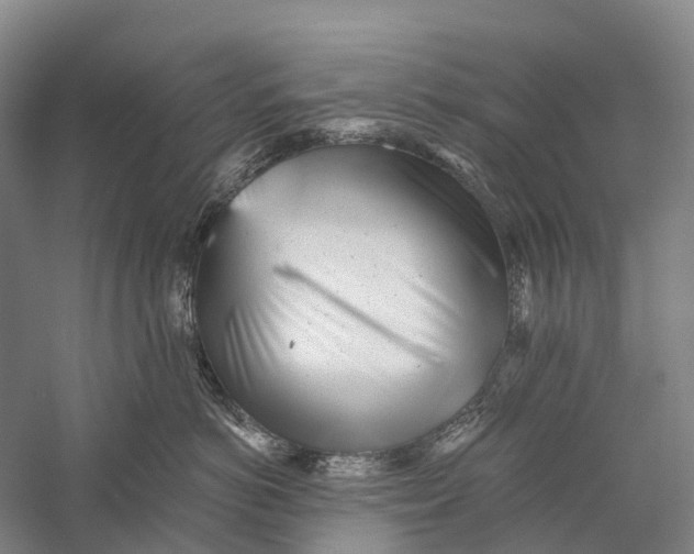 X0000056310766200509231920