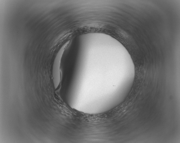 X0000056310774200509231919