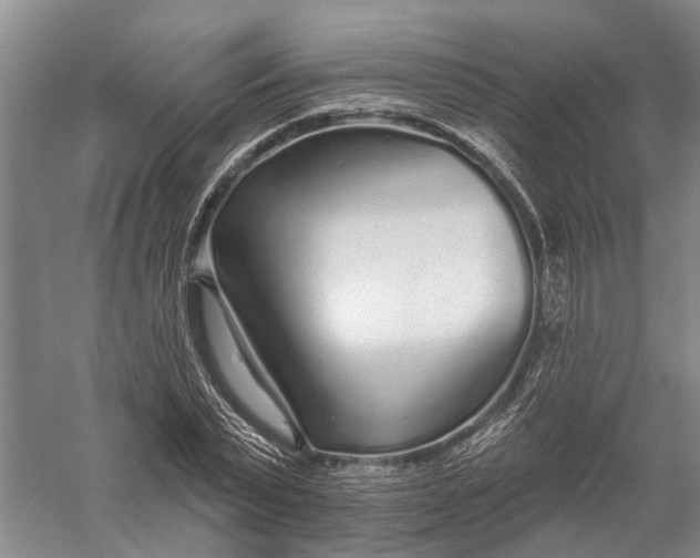 X0000056310783200509231919