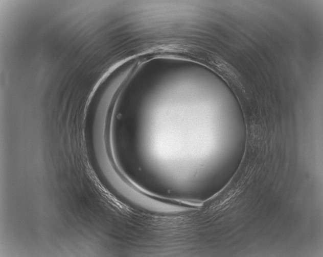 X0000056310784200509231919