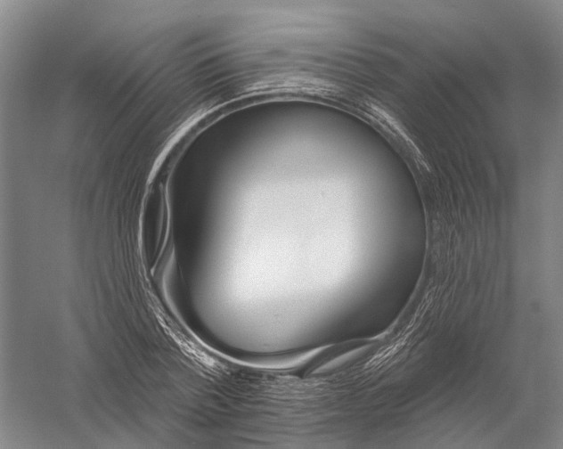X0000056310788200509231919