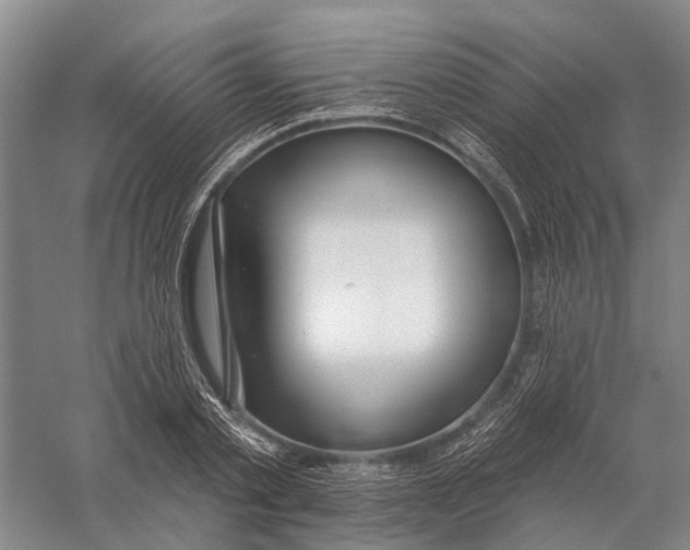 X0000056310789200509231919