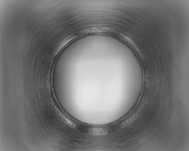 X0000056310794200509231919