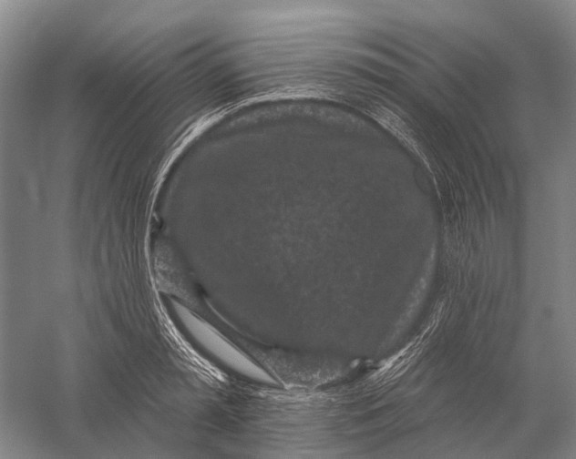 X0000056310797200509231919