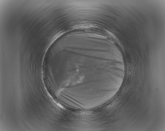 X0000056310802200509231919