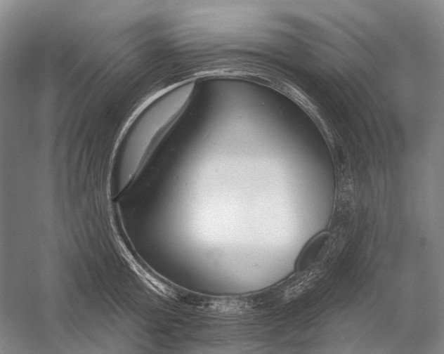 X0000056310803200509231919