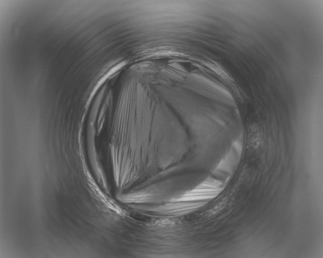 X0000056310806200509231919