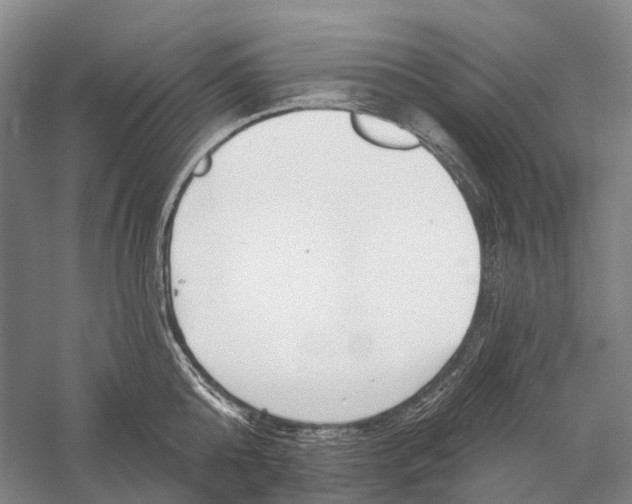 X0000056310808200509231919
