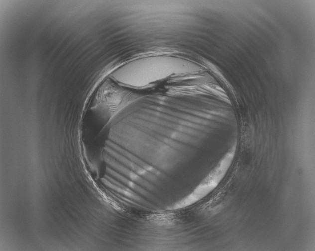 X0000056310810200509231919