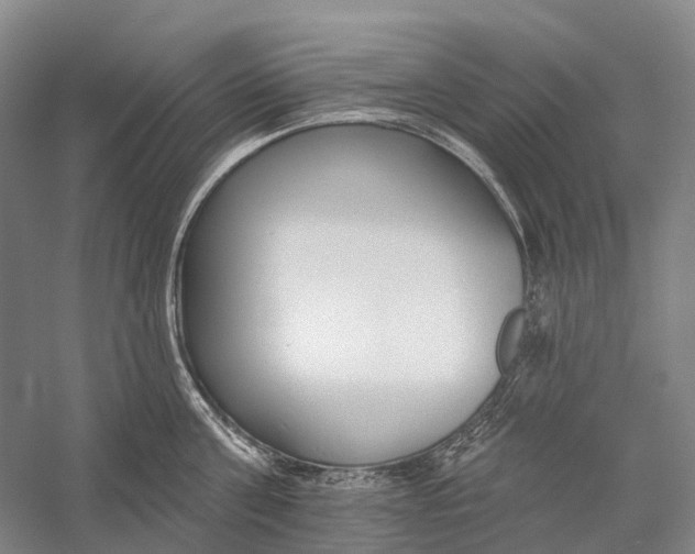 X0000056310811200509231919