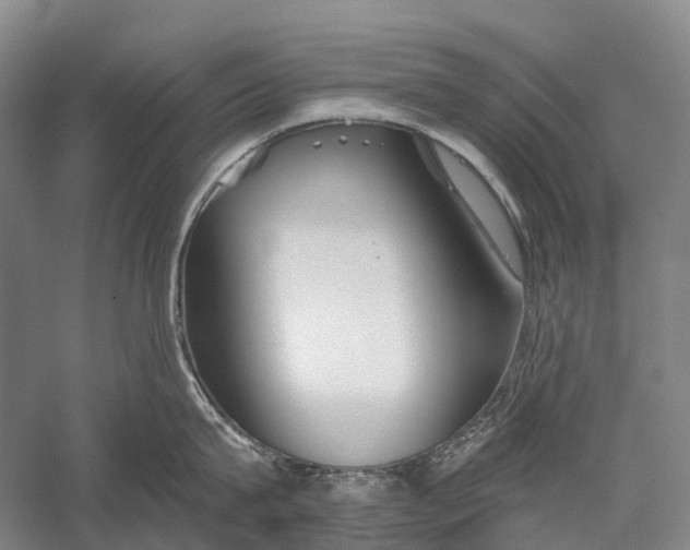X0000056310815200509231919