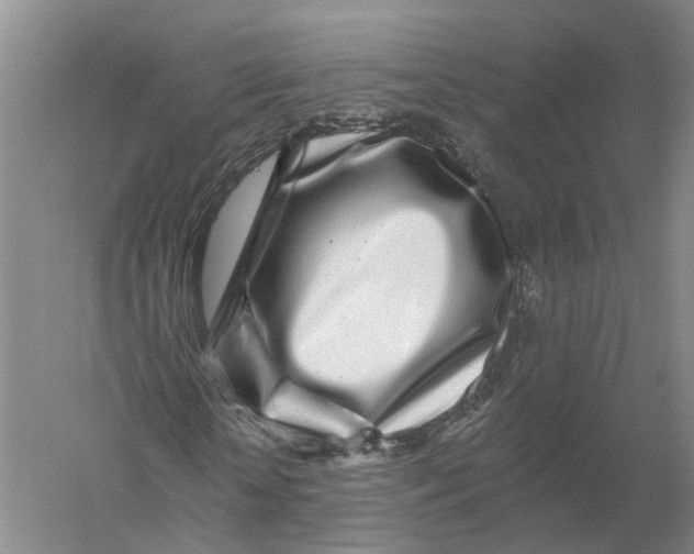 X0000056310818200509231918