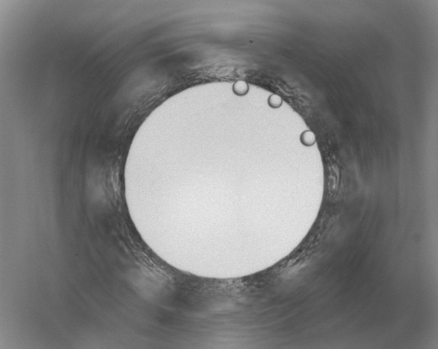 X0000056310820200509231918