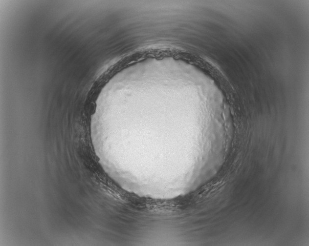 X0000056310823200509231918