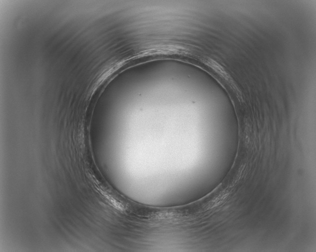 X0000056310834200509231918
